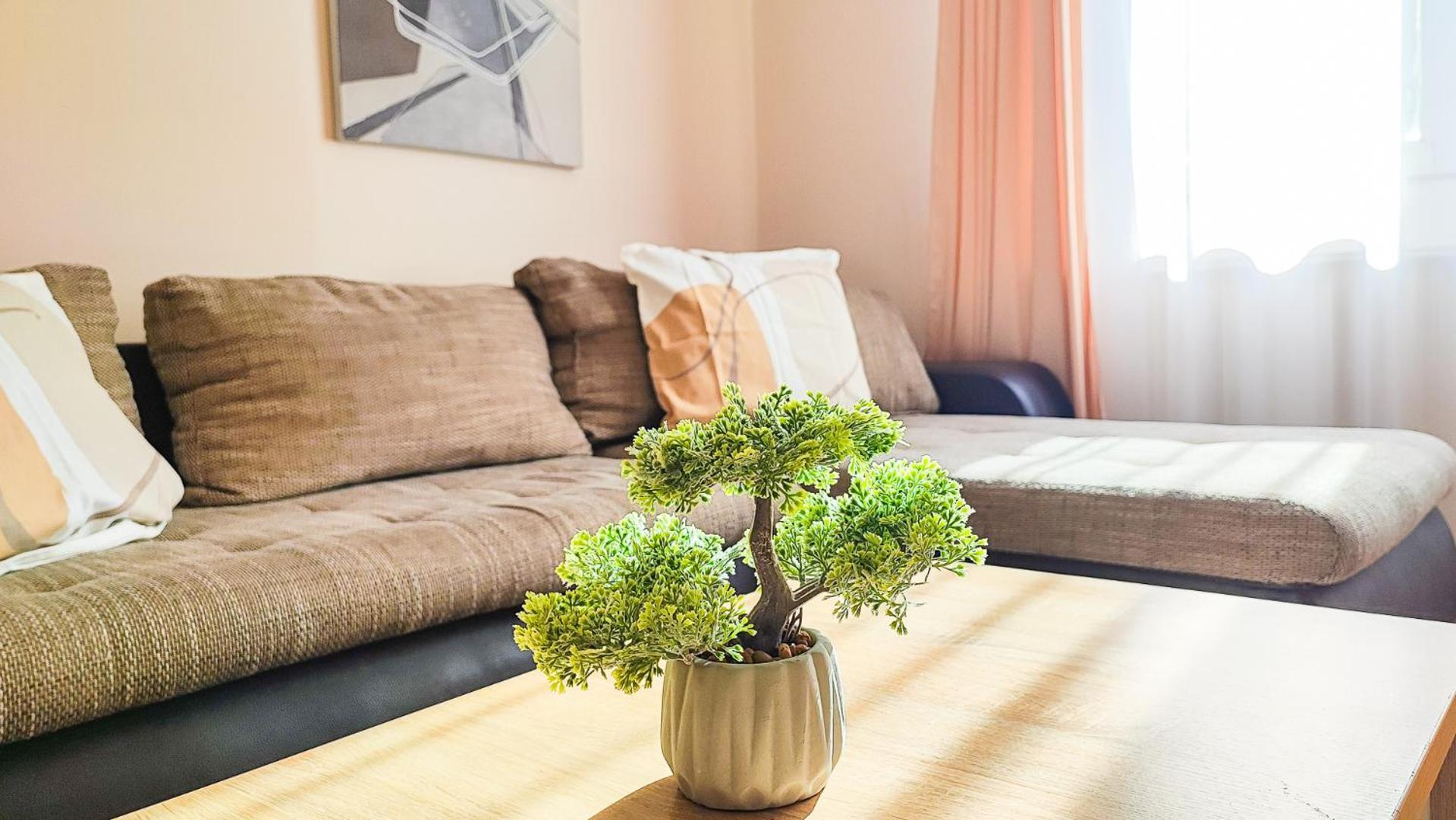 Filin Home Jaksica Novi Sad Bagian luar foto
